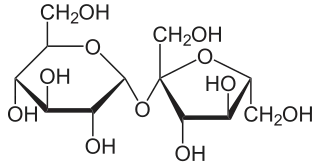 La sacarosa es un oligómero (dímero) formado por una molécula de glucosa y otra de fructosa.