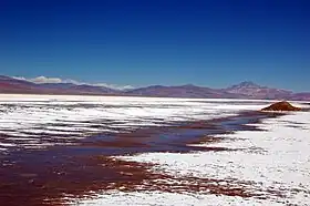 Salar de Maricunga