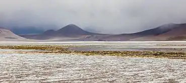 Salar de Pujsa.