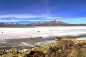 Salar de Surire