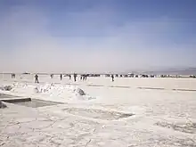 Contingente en las salinas