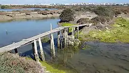 Salinas de San Miguel