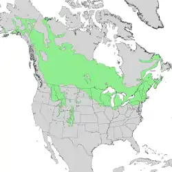 Distribución natural