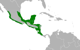 Distribución geográfica del pepitero ventricanelo.