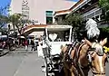 Mercado Libertad y Centro Joyero.