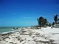 Playa de San Crisanto.