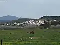 San Enrique de Guadiaro. Al fondo, Sierra Bermeja.