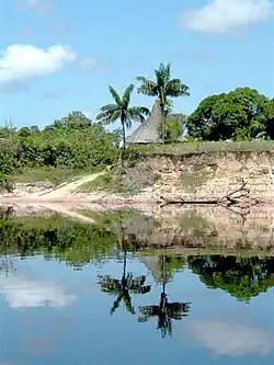 Orillas del río Atabapo.