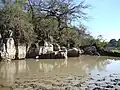 Laguna 2
