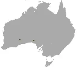 Mapa de distribución de Sminthopsis psammophila