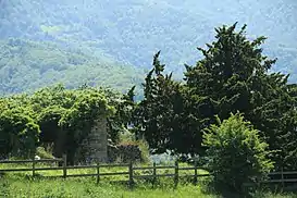 Campo de iglesia de Santa Eulalia de Pirueño