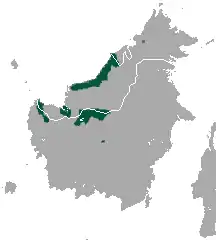 Distribución del surili de Sarawak