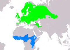 Distribución de Saxicola rubetra