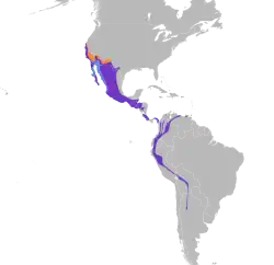 Distribución geográfica del mosquero negro.