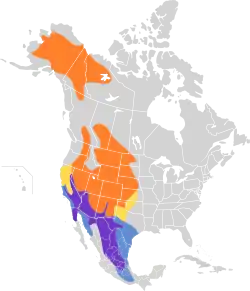 Distribución geográfica del mosquero llanero.