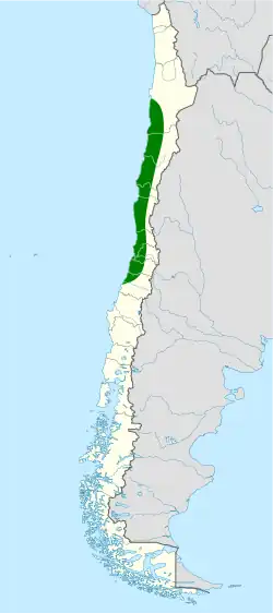 Distribución geográfica del tapaculo.