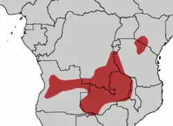 En rojo el área de distribución del turaco de Schalow