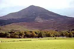 Tras una pradera se observa una montaña que se eleva detrás de una línea de árboles. Los flancos de la montaña están desprovistos de vegetación, y el pico de la montaña posee una cierta simetría.