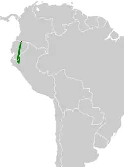 Distribución geográfica del llorón submontano.