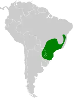 Distribución geográfica del llorón verdoso.