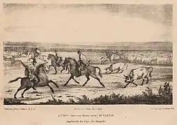 Ganado cerca de Buenos Aires