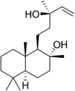 Imagen de la estructura