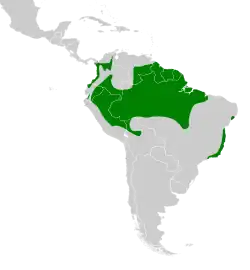 Distribución geográfica del tirahojas oscuro.