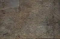 La colina boscosa, con el muro de escudos a la derecha.