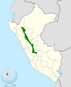 Distribución geográfica del churrín patudo.