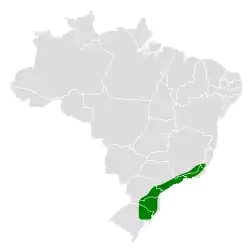 Distribución geográfica del churrín plomizo.