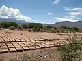 Adobes secándose al sol, de uso en la construcción