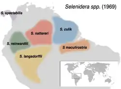 Distribución de las seis especies