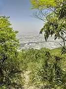 Sendero en el Cerro de la Silla I.