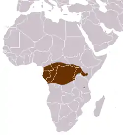 Distribución de la jineta servalina