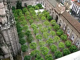 Patio de Los Naranjos, el sahn de la Mezquita Mayor de Sevilla, transformada en Catedral de Sevilla desde el siglo XIII.