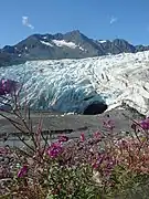 Prince William Sound, mirando hacia el Glaciar Shoup