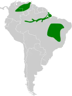 Distribución geográfica del chirigüe frentinaranja.