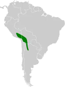 Distribución geográfica del chirigüe puneño.