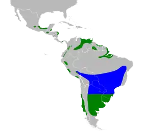 Distribución geográfica del chirigüe sabanero.