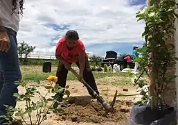 Siembra por la paz