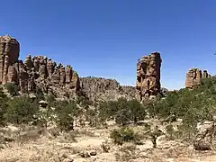 Matorral,Sierra de Órganos, Zacatecas