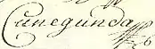 Firma de María Cunigunda de Sajonia