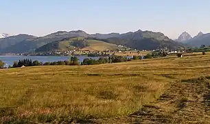 Vista del lago, con Einsiedeln y la abadía al fondo.