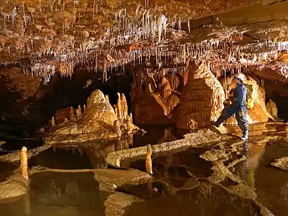 Espeleotemas y gours en el Sistema de las Lamiñas. ADES.