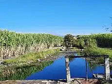 Sistema de riego ojo de agua "El Ojito".