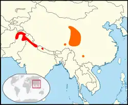      Distribución aproximada de Sitta przewalskii.     Distribución aproximada de Sitta leucopsis.