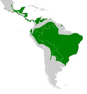 Distribución geográfica del trepatroncos olivaceo.