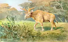 Sivatherium