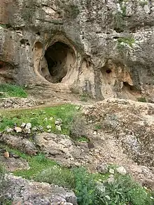 Entrada de la cueva Skhul.