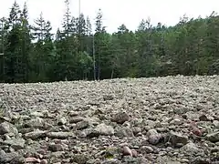 Cascajo pulido por las olas antes de que el rebote postglacial lo sacara del agua.